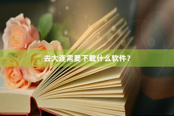 去大连需要下载什么软件？